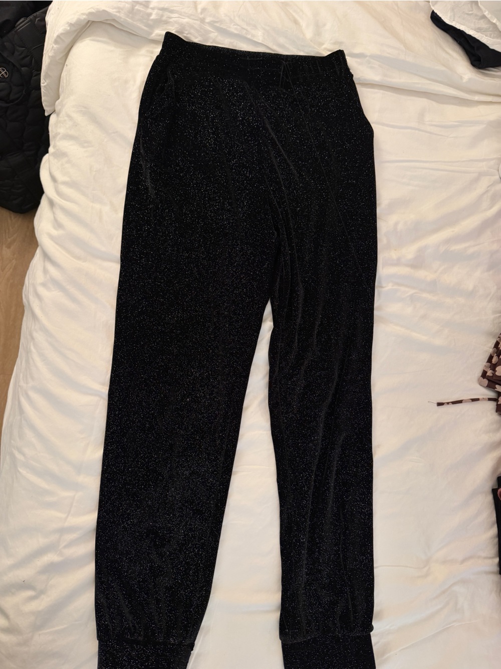 Beach Riot Black Sparkle Jogger Pants